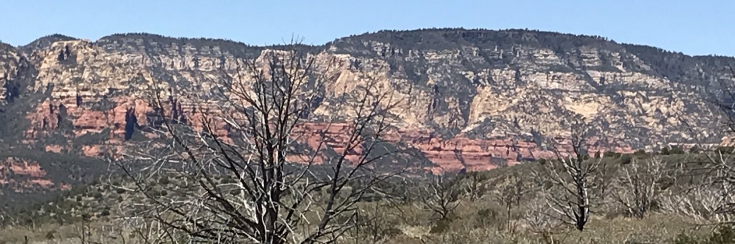 amybryson4's profile banner image