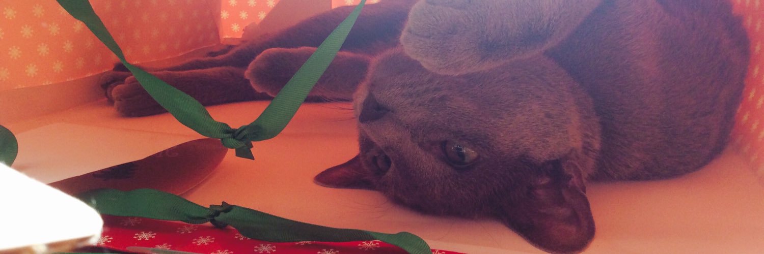 MillyRalph93's profile banner image