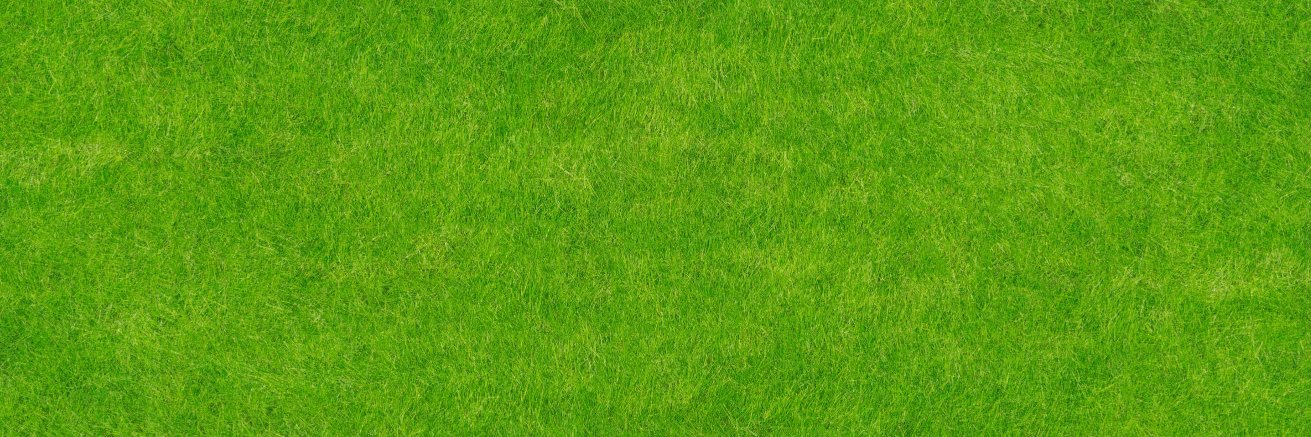 artisteve's profile banner image