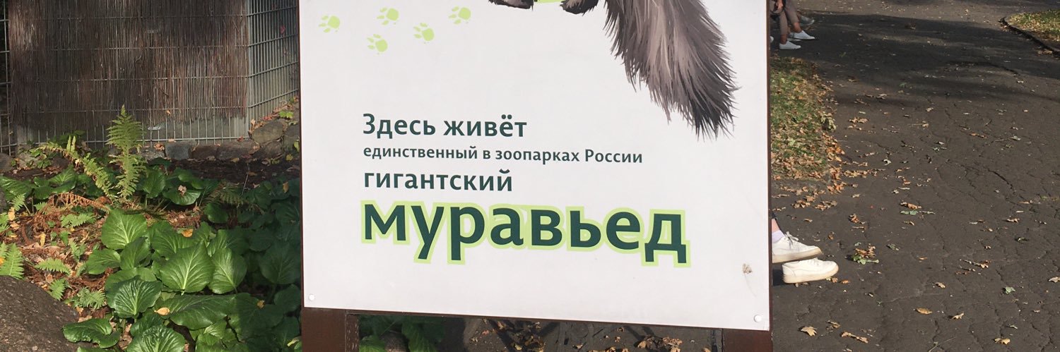Уважаемый Повар Кадырова(Parody)🌹👨🏼‍🍳 banner