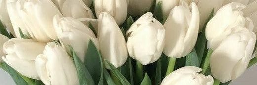 ….. banner