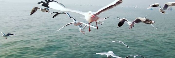 CAashwinikumar's profile banner image