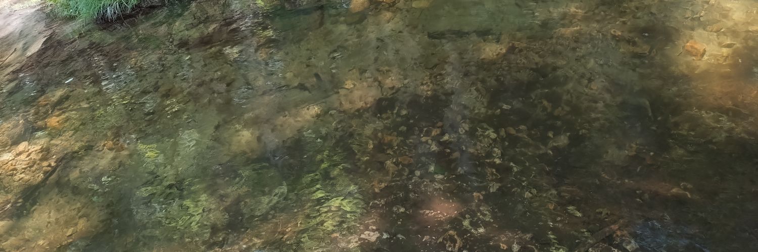 Ninja_aiefu's profile banner image
