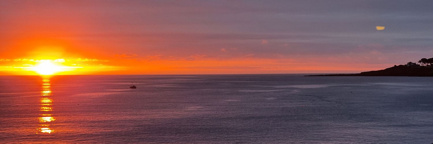 SteveLetzer's profile banner image