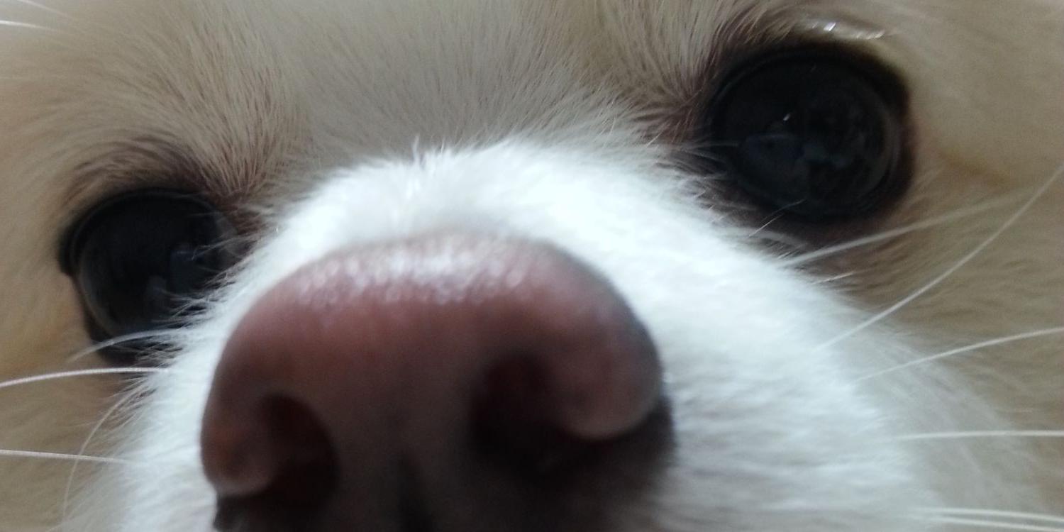 mungcchimom's profile banner image