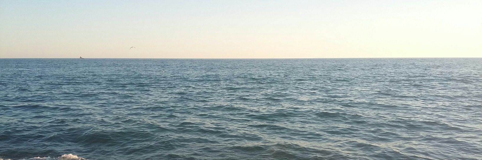 olivasedli's profile banner image
