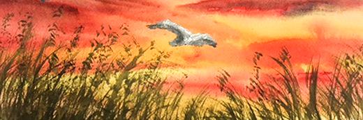 karen_condron's profile banner image