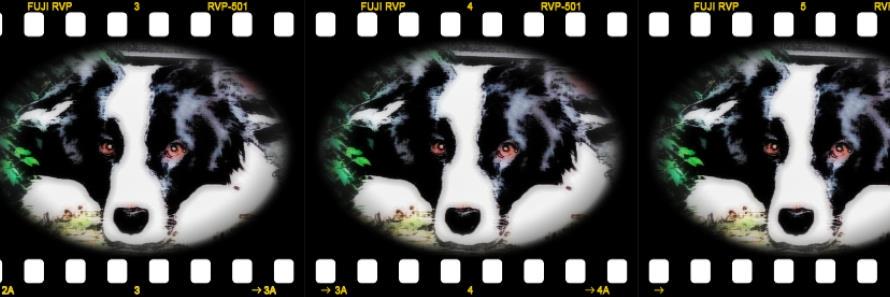 TomMWilson2's profile banner image
