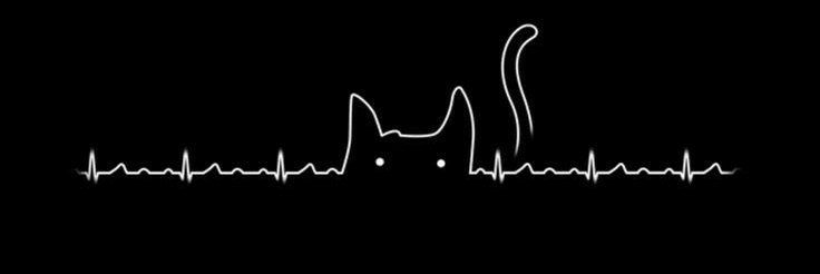 sony_hrmn's profile banner image