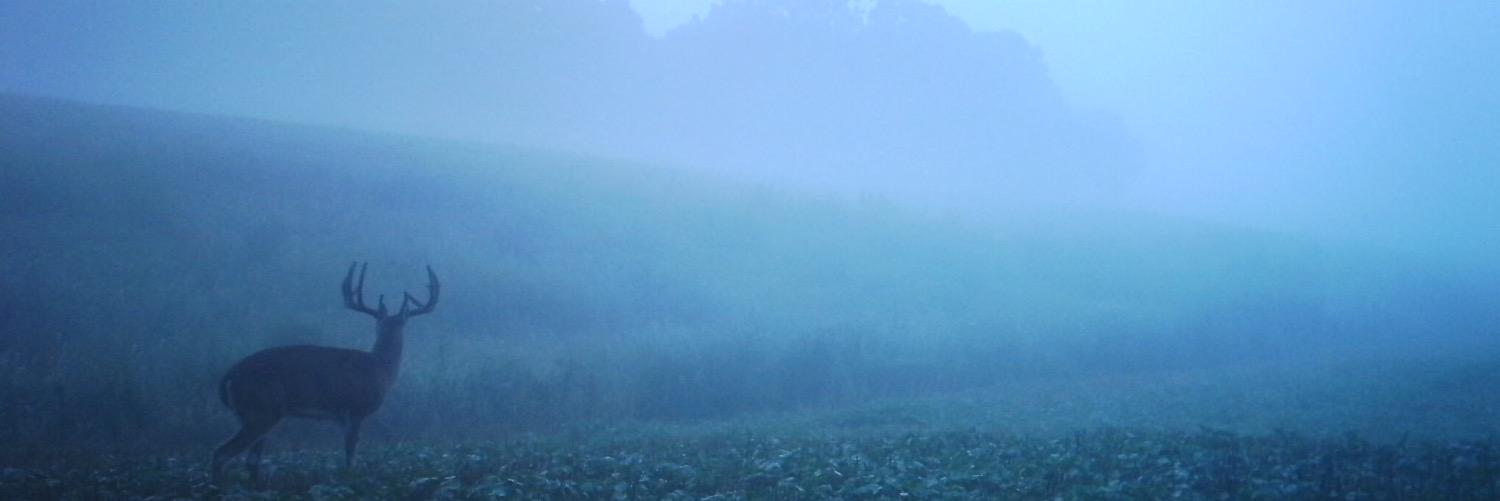 JGuest15's profile banner image