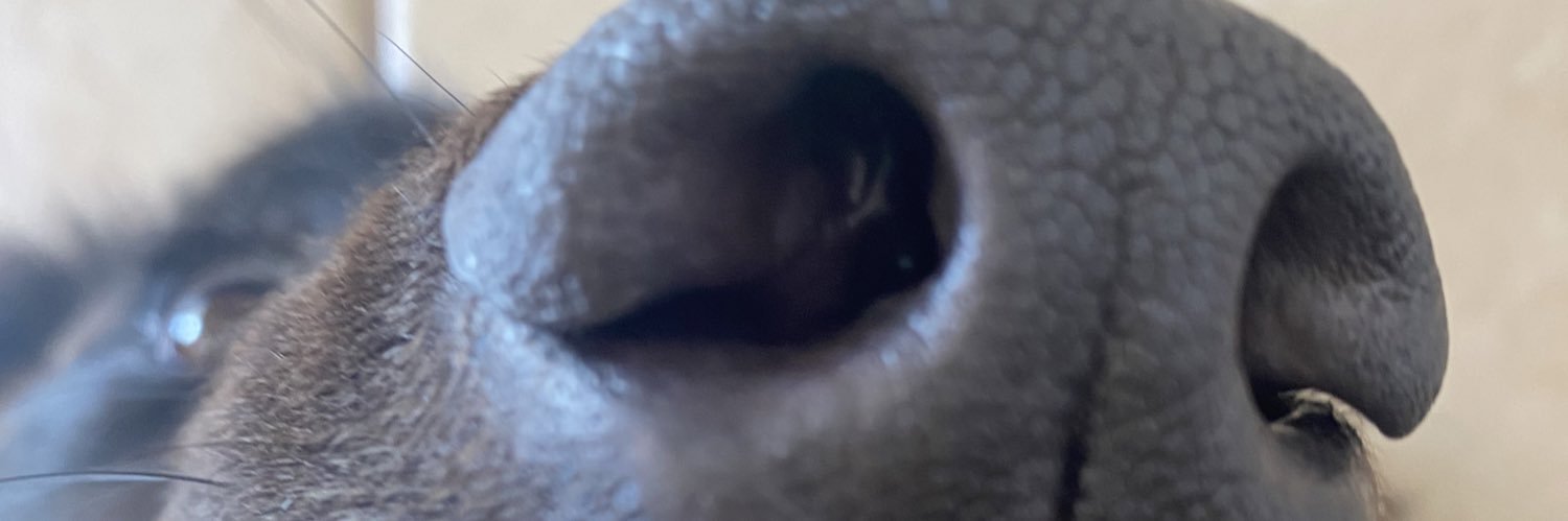 mercacos's profile banner image