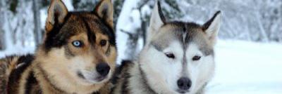 Rpg_57T_W's profile banner image