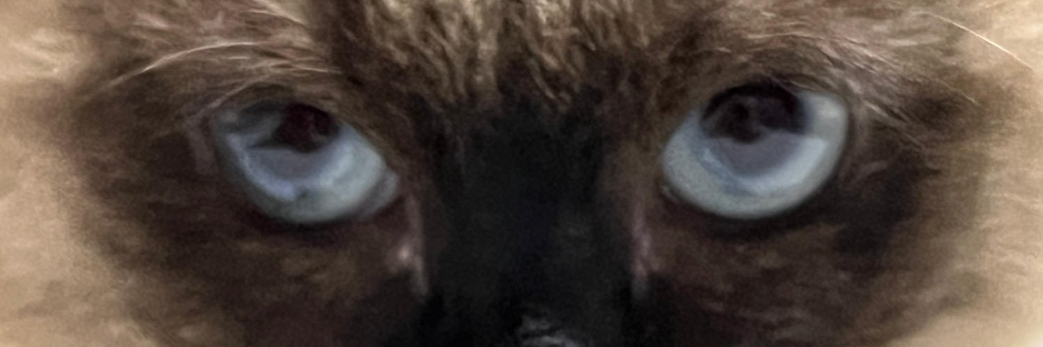 domipariz's profile banner image
