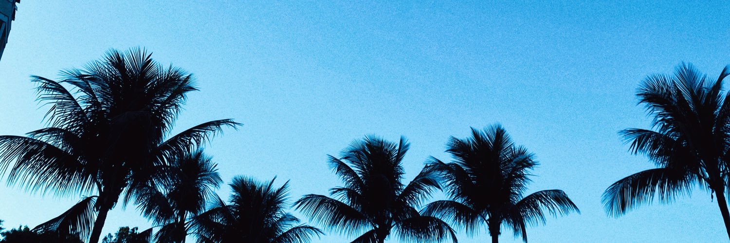 $hen banner
