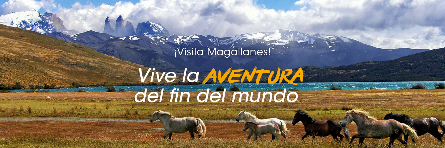 Austro Chile banner