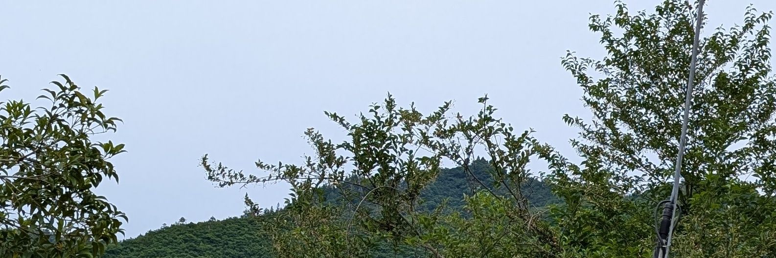 olive_oribia512's profile banner image
