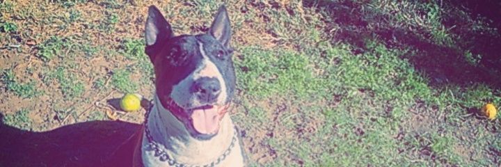 phinii97's profile banner image