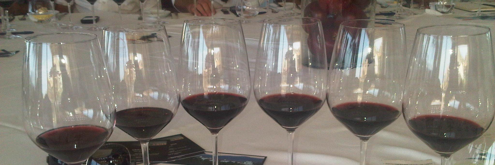 vinsurwines's profile banner image