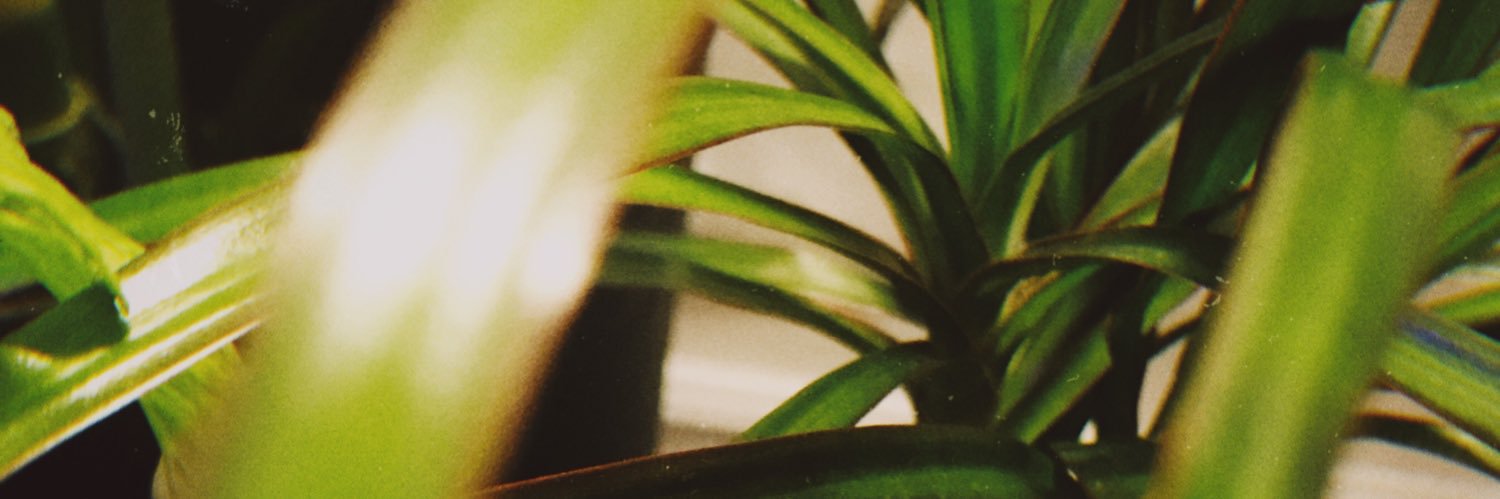 prodilge's profile banner image