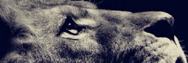 CBrassens's profile banner image