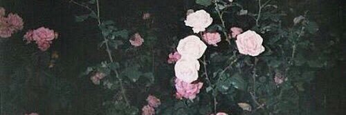 Soo_ah7's profile banner image