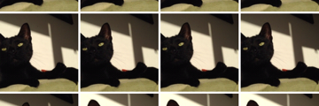 ThePurrrfessor's profile banner image