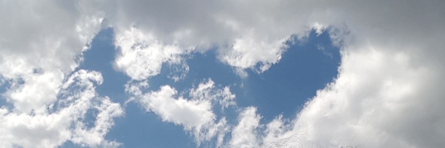 lisasofiaR's profile banner image