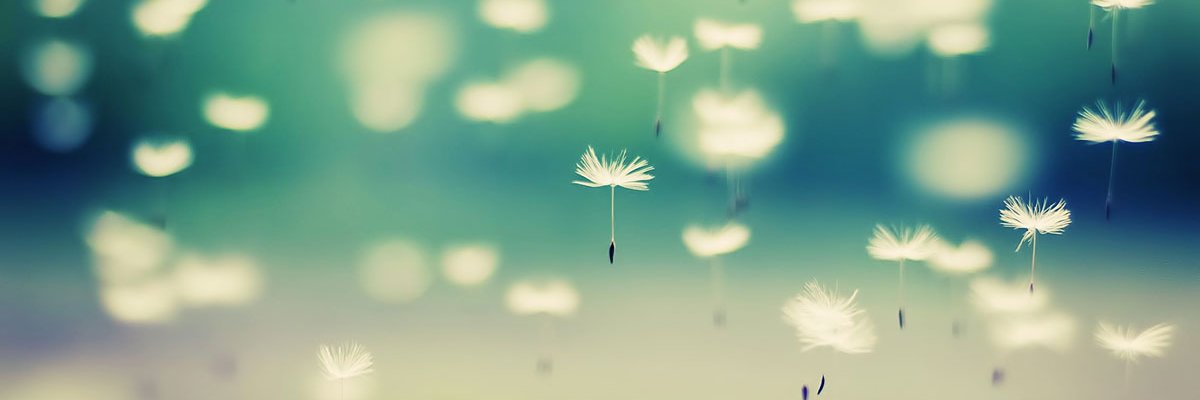 TeensofTCPL's profile banner image