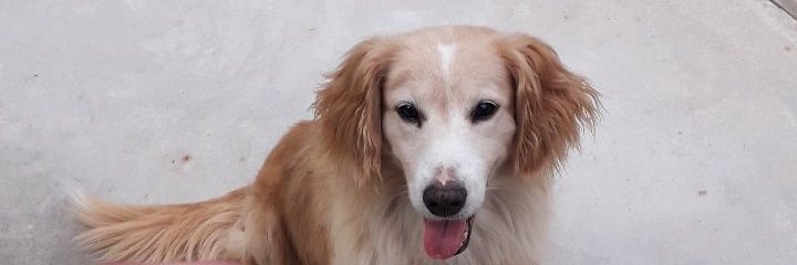 MateoLanas's profile banner image