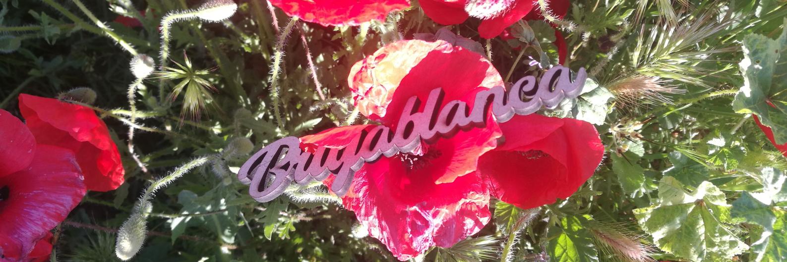 Paz R Villanueva #SinCienciaYCulturaNoHayFuturo banner