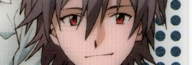 Leddywight banner