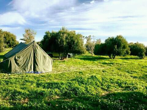 Abdul Salam Al-Werfally banner