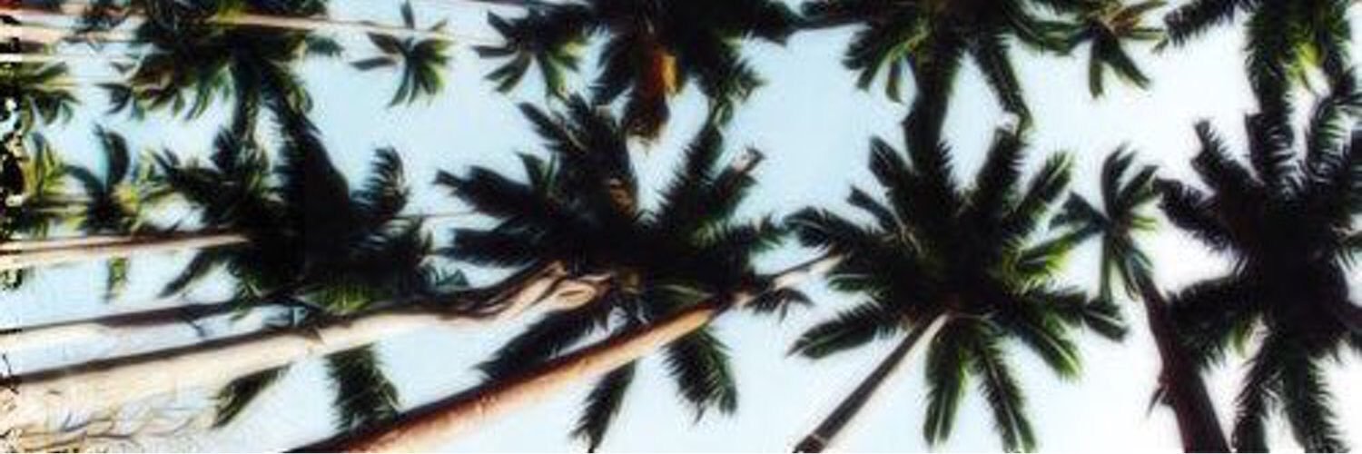 shayylyn1's profile banner image