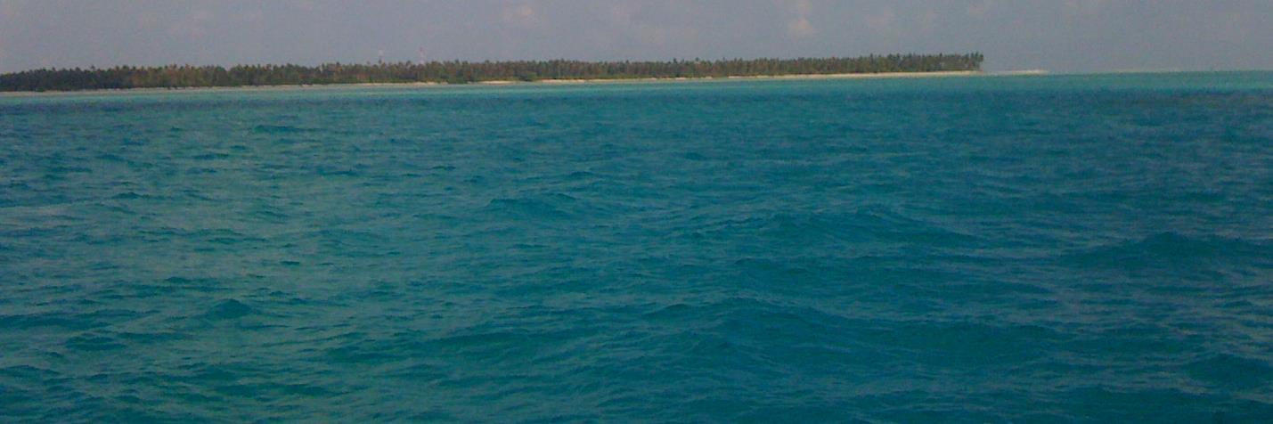 JalanAdarsh's profile banner image