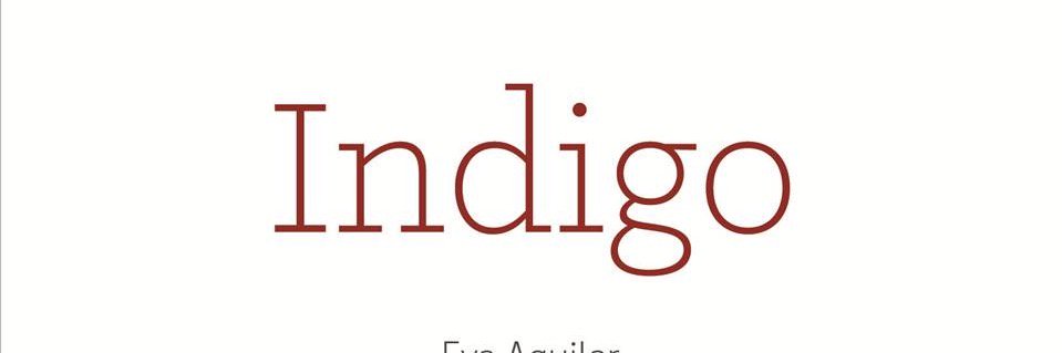 SagaIndigo's profile banner image