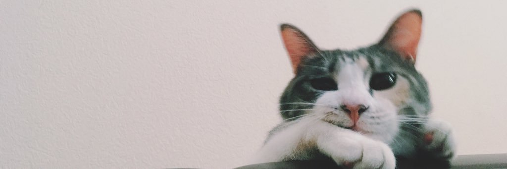 yymmd___'s profile banner image