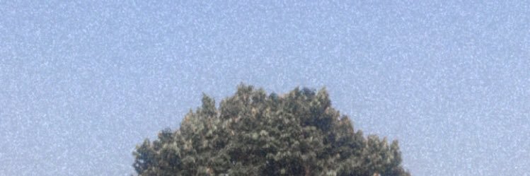 novicaniati's profile banner image