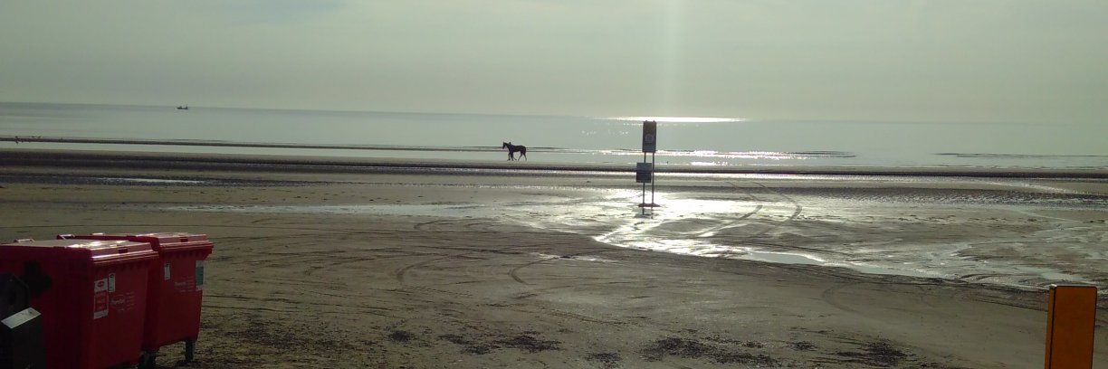 Orla Shortall banner