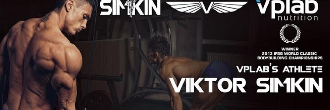 VIKSimkin's profile banner image