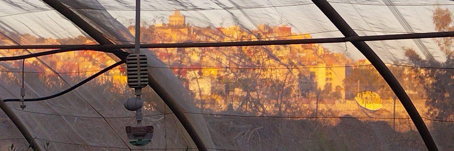 FGQuero's profile banner image
