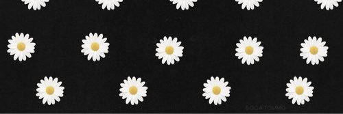 MunchkinWheels's profile banner image