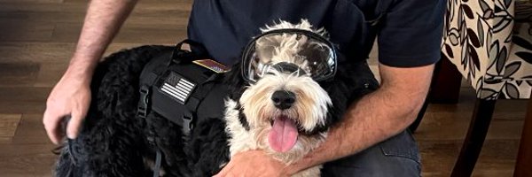 caseycarlson11 Profile Banner