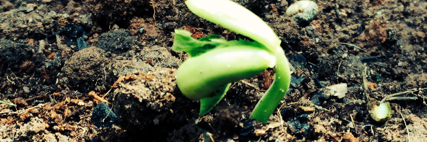 wemakecompost's profile banner image