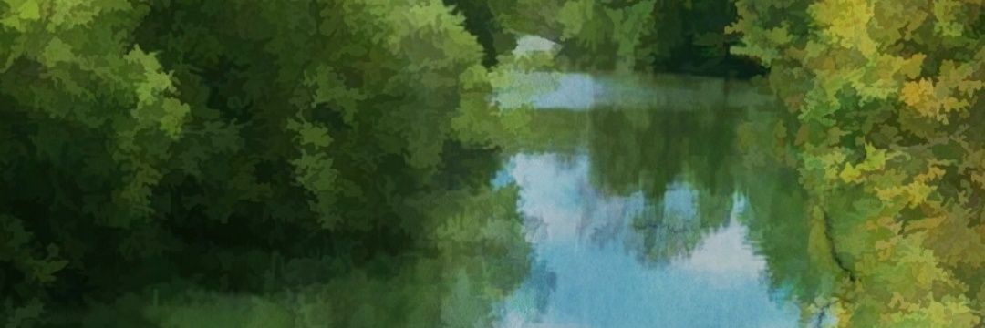 thaisonpan's profile banner image