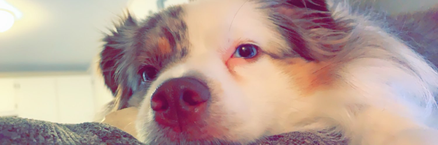 kenzzz_99's profile banner image