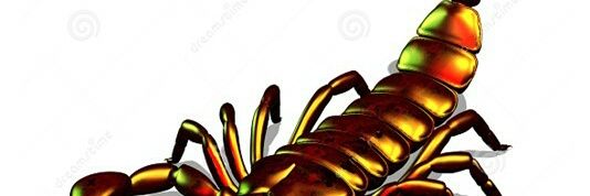 cmalcagmailcom1's profile banner image