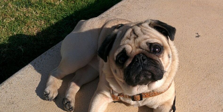 Alberto Salido banner