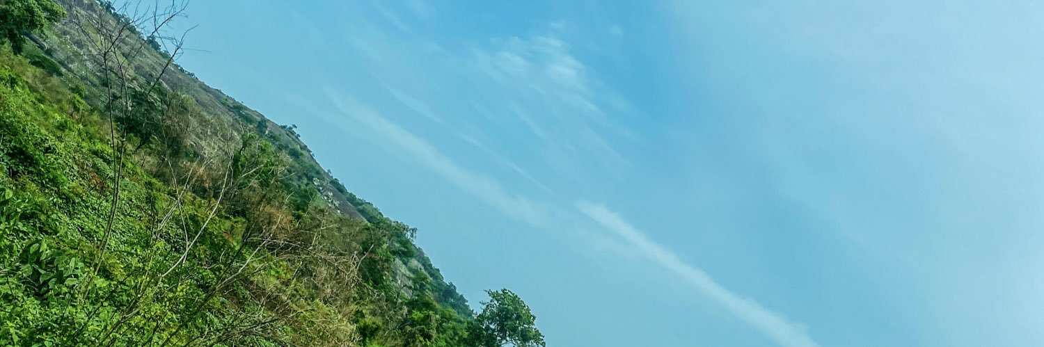 madammide's profile banner image