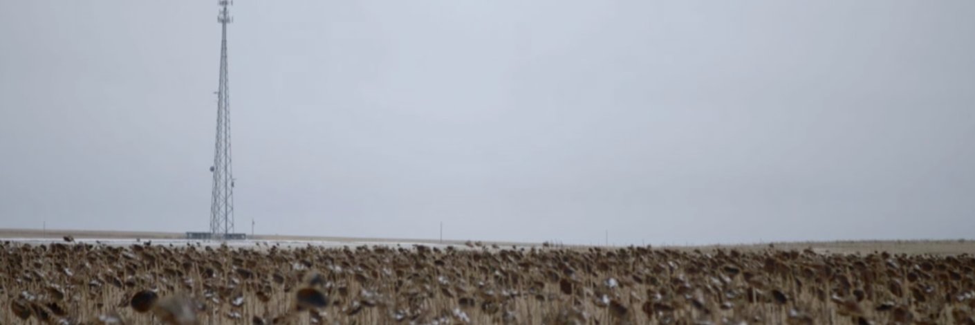 Christopher Weaver banner