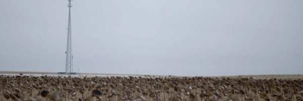 cdweaver Profile Banner